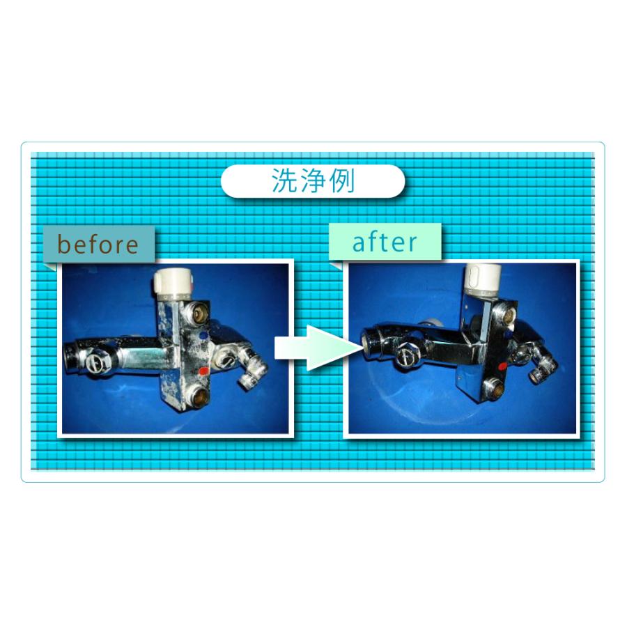 蔵王産業 カラン洗浄剤 1L×3本セット 業務用 蛇口 ヘッドの汚れ除去 大浴場・銭湯 スケール 6003314  離島不可 代引き不可 メーカー直送｜hidakashop｜02