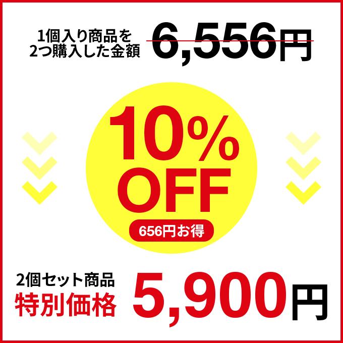 高級な 送料無料 ヒダカ カーシャンプー コーティング車対応 Hkp 0070 02p 2l原液x2本 濃縮 高圧洗浄機用洗車洗剤