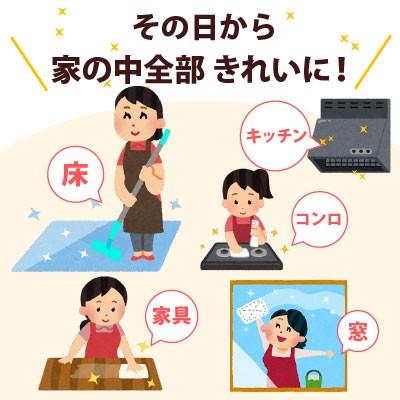 スプレーモップ フロアワイパー アルカリ電解水クリーナー パシャウォッシュプロ１L スプレーモップライトセット レビュー特典有　配送先沖縄不可 | ブランド登録なし | 02