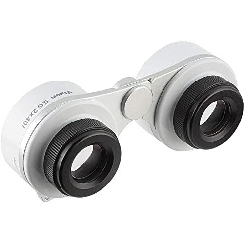 ビクセン(Vixen) 星座 星空用双眼鏡 SG2x40f 19174 SG2x40f