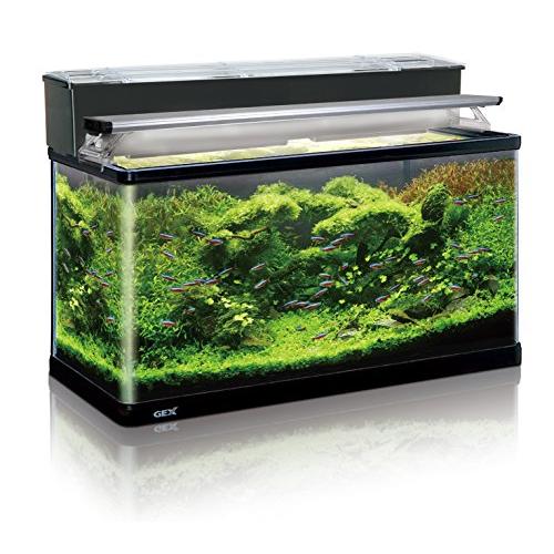 15周年記念イベントがGEX AQUARIUM ラピレスRV90 約151L LEDセット