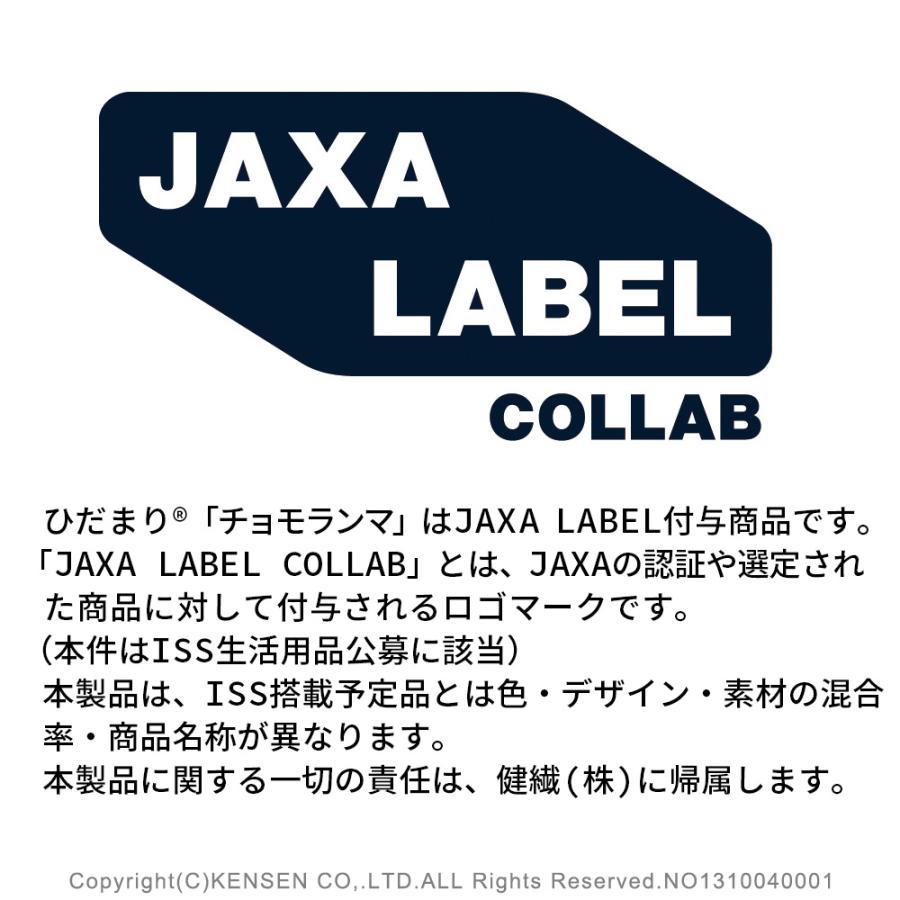 ひだまり [上下別売]ひだまり チョモランマ 紳士用 ズボン下[前開き