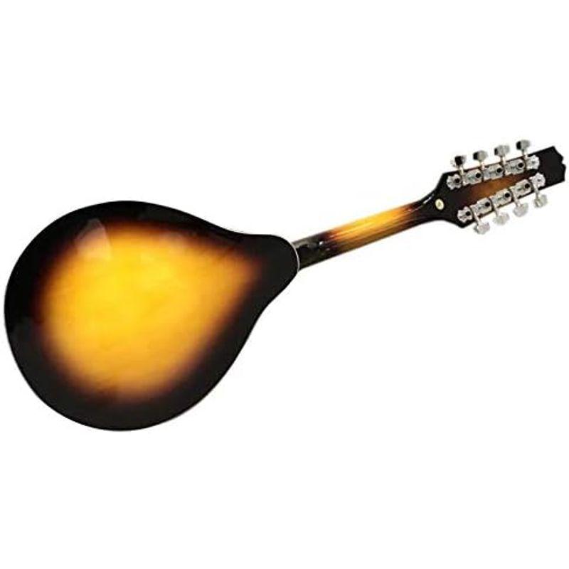 Fender】 エレクトリック フラットマンドリン