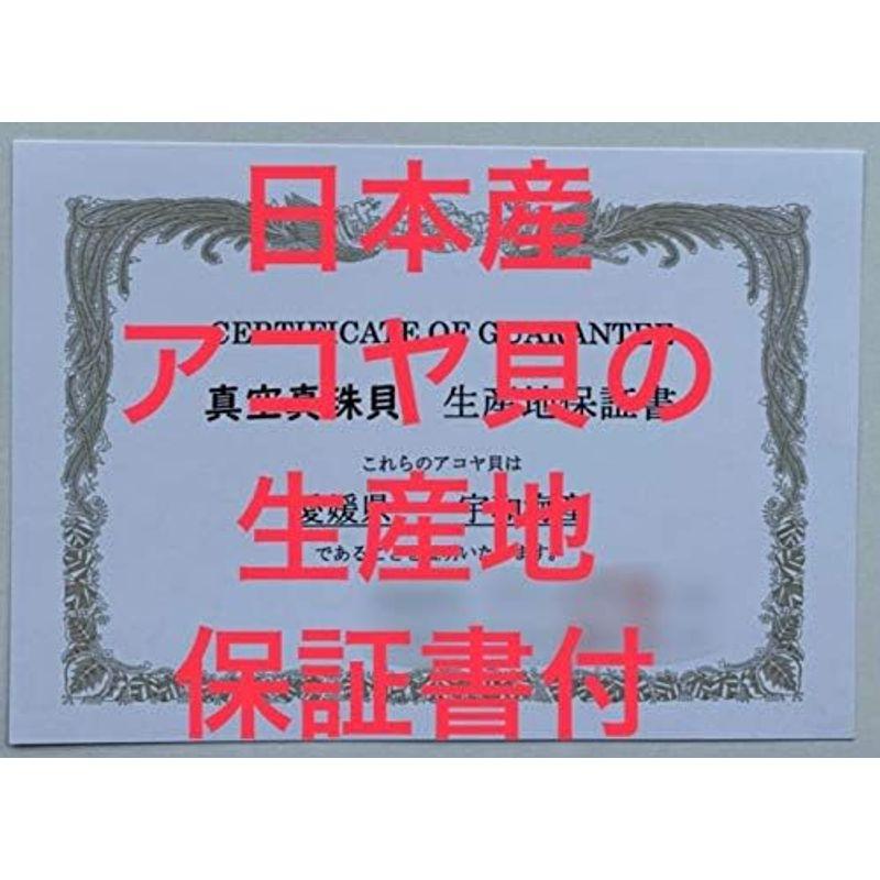 真空真珠貝3個（真珠入) 真空パック日本産アコヤ貝 自宅で真珠取出し体験 生産地保証書付 お家で貝ムキイベント体験 自由研究｜hidarikiki｜07