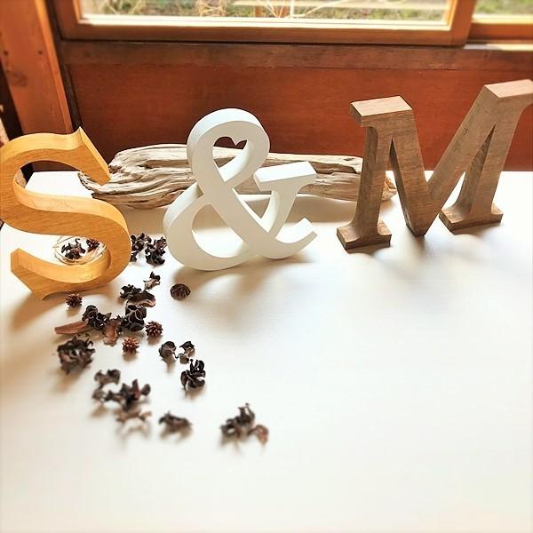 イニシャルオブジェ(大) パールフラワーイニシャルオブジェ ウェルカムボード Lucey 通販