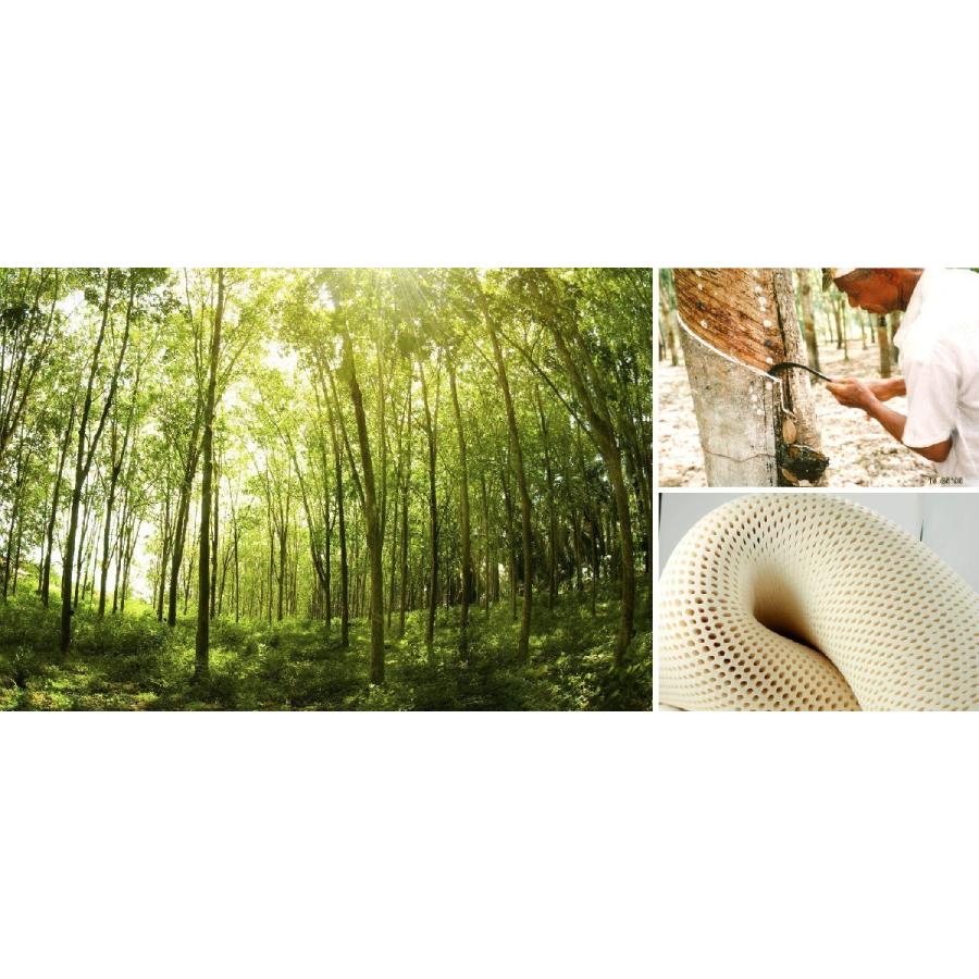 ボディドクター ドクターパッド トッパー 970 シングル W970×L1910×H25mm 天然ラテックスフォーム メーカー3年保証 