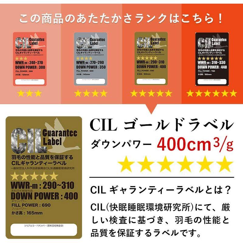 【〜6/6まで出品】 羽毛布団 キング ハンガリー産 ホワイト マザー グースダウン 93％ 二層立体 ツインキルト 羽毛布団 無地キナリ 60サテン 超長綿 国 【1547059216】(54675円)