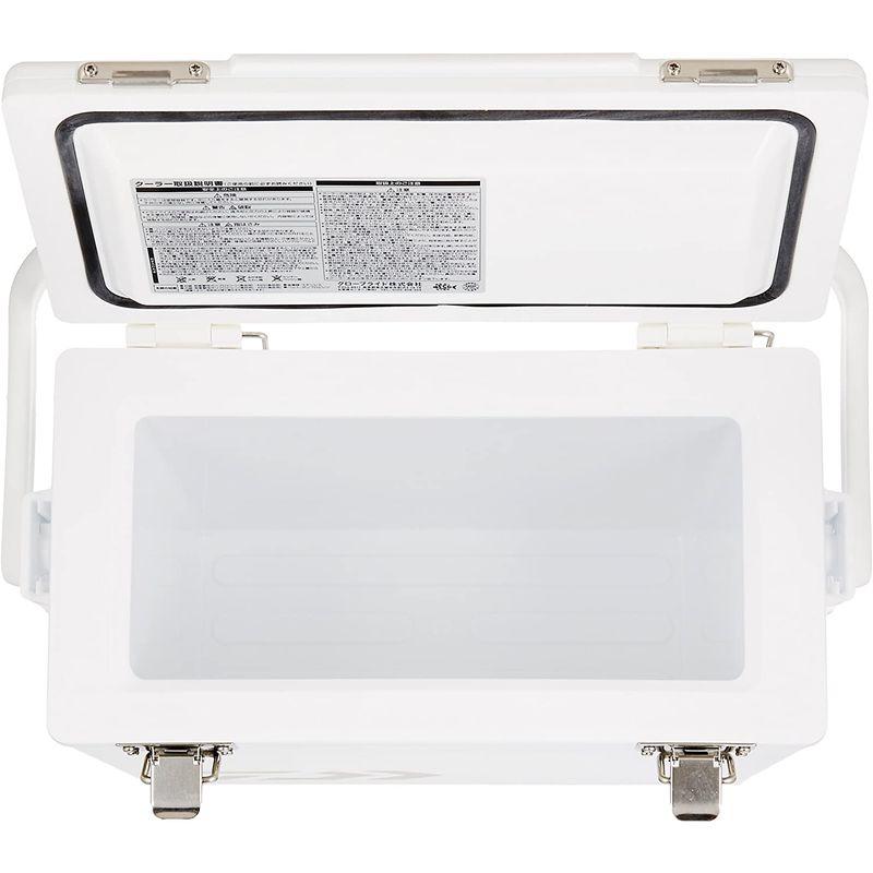 ダイワ(DAIWA) クーラーボックス ZS 700 釣り 小型 7リットル 7リットル DAIWA クーラーボックス ZS 釣り 小型