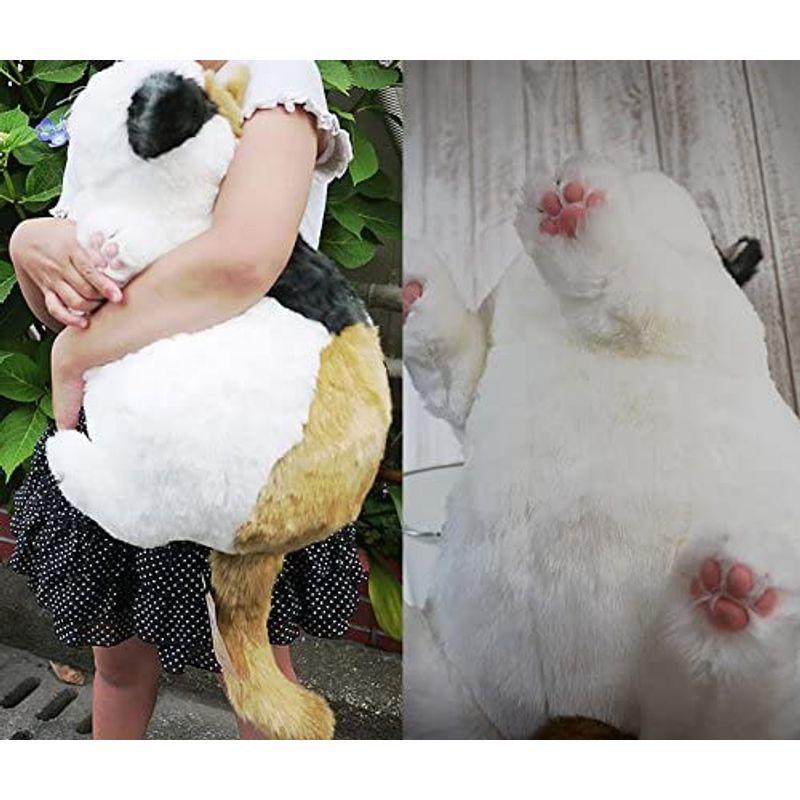 ぬいぐるみ 特大 (ネコ 猫 ねこ) マリア リラックス Cuddly New Collection 特大 ネコ 猫 ねこ マリア リラックス Cuddly New Collection