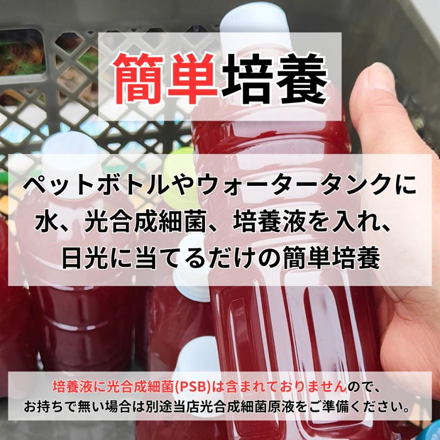光合成細菌 PSB 培養液 100ml 約20L培養 簡単培養 初心者向け : 光合成