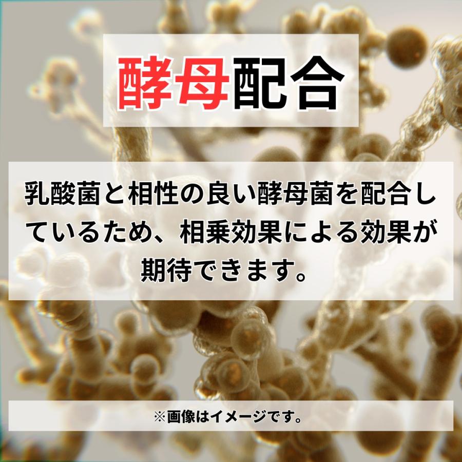 秀玄 乳酸菌 酵母菌 活性液 700ml |  | 01
