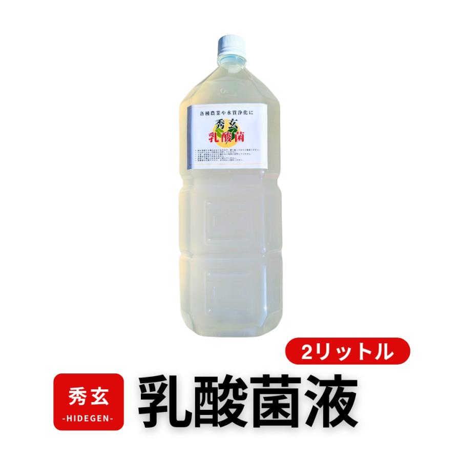秀玄 乳酸菌 酵母菌 活性液 2リットル | 
