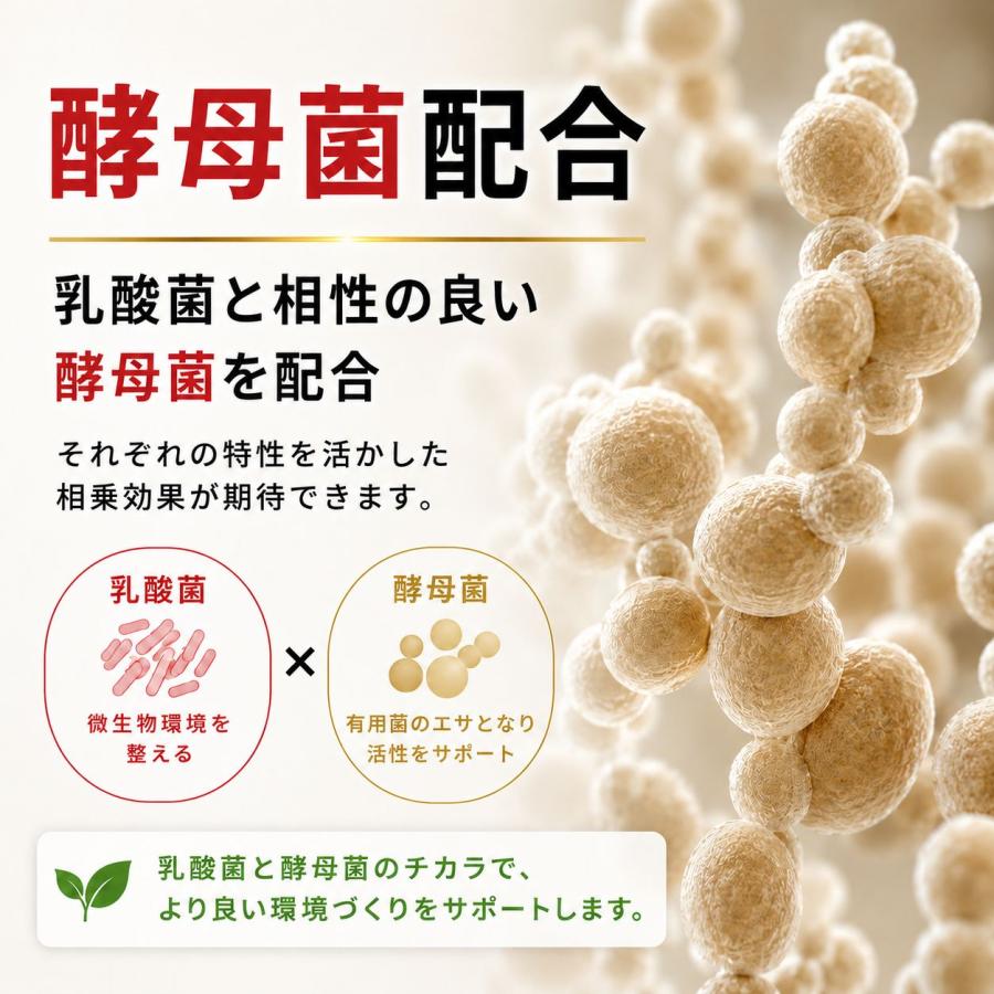 秀玄 乳酸菌 酵母菌 活性液 10L |  | 02