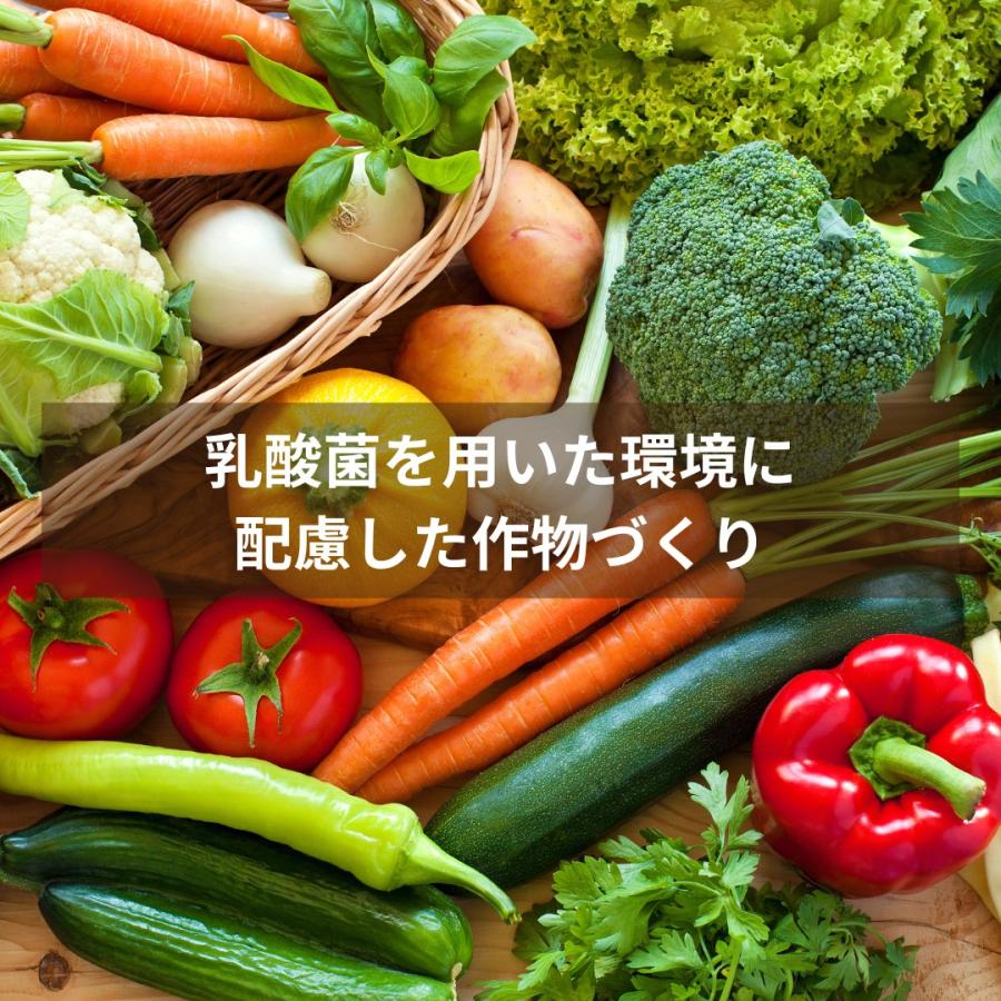 秀玄 乳酸菌 酵母菌 活性液 10リットル |  | 04