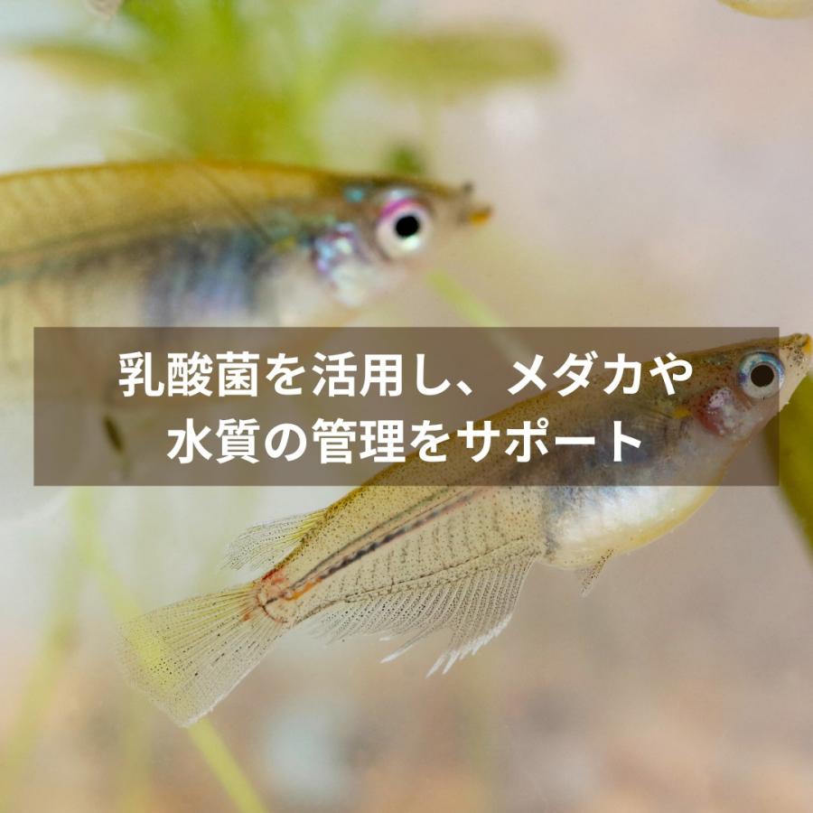 秀玄 乳酸菌 酵母菌 活性液 10リットル |  | 07