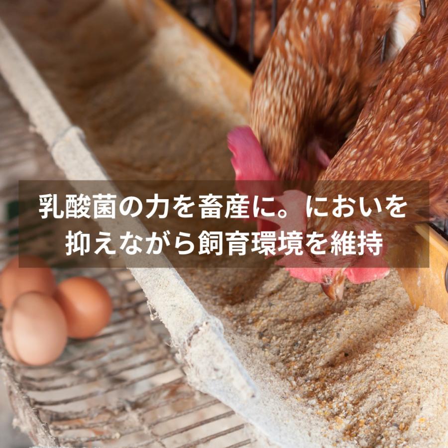 秀玄 乳酸菌 酵母菌 活性液 18リットル |  | 05