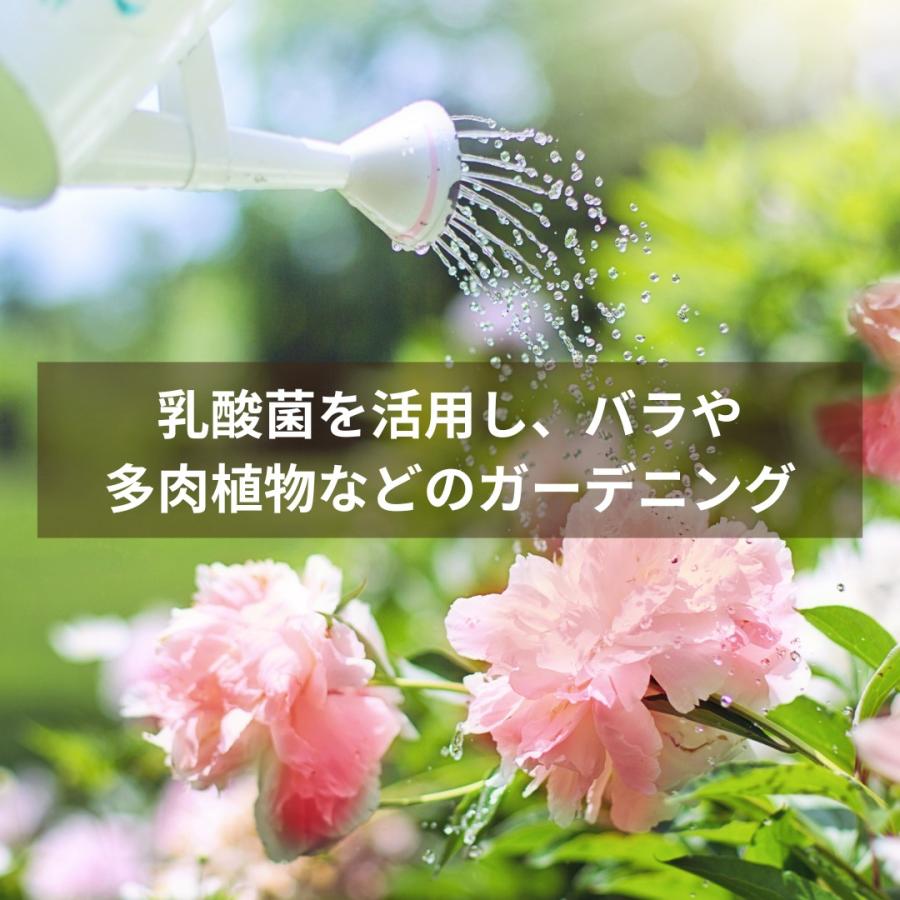 秀玄 乳酸菌 酵母菌 活性液 18リットル |  | 06