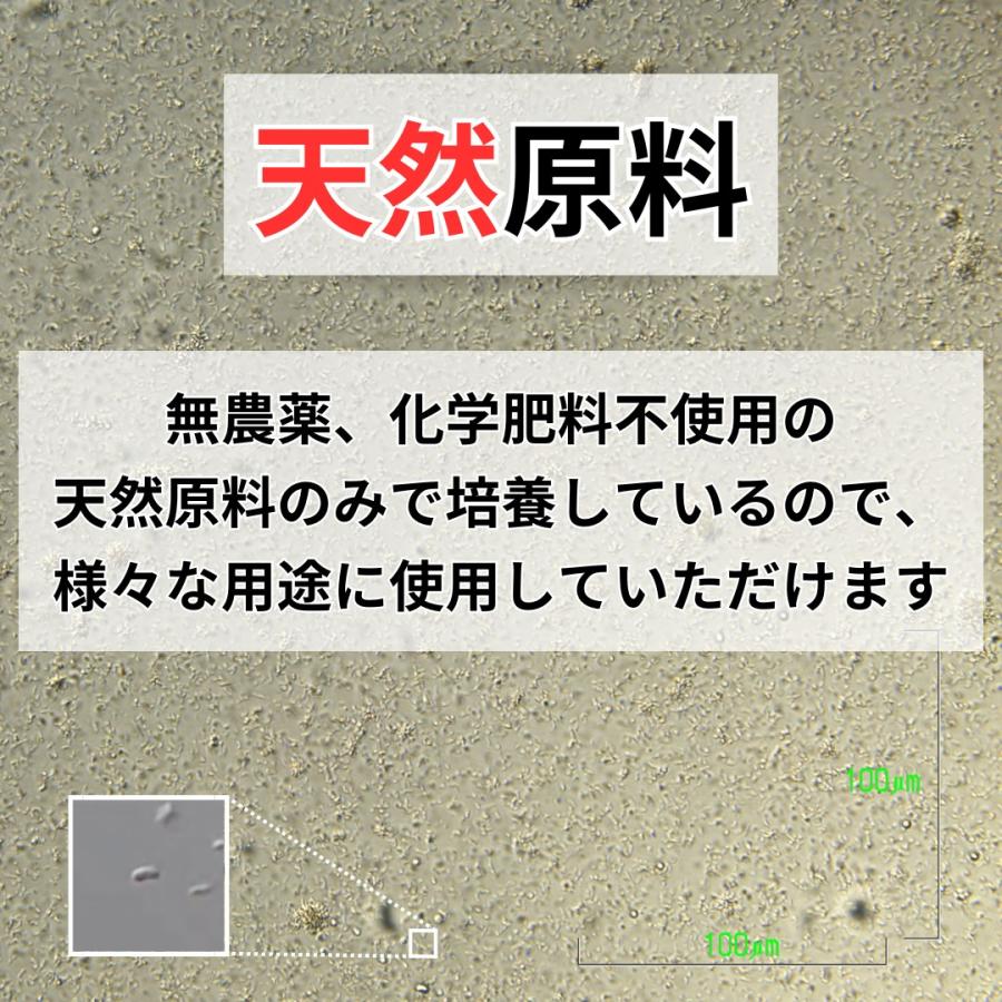 光合成細菌 PSB 原液 2L 農業 家庭菜園 土壌環境づくり 微生物資材 メダカ 水質管理 観賞魚 ビオトープ 水槽 光合成細菌専門店秀玄 |  | 02
