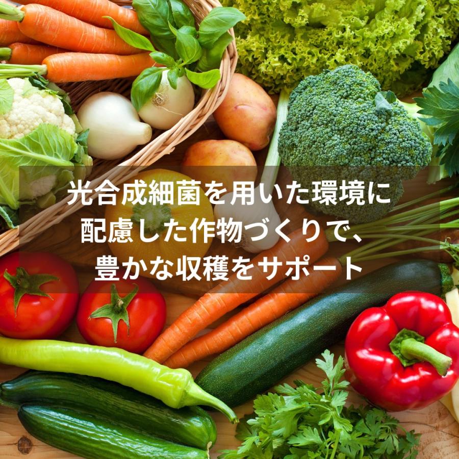 光合成細菌 PSB 原液 2L 農業 家庭菜園 土壌環境づくり 微生物資材 メダカ 水質管理 観賞魚 ビオトープ 水槽 光合成細菌専門店秀玄 |  | 03