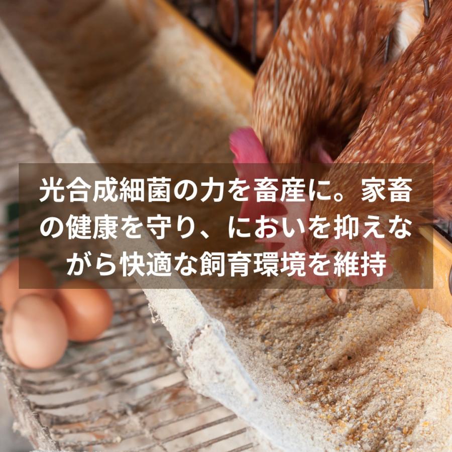 秀玄 光合成細菌 PSB 原液 5リットル |  | 07