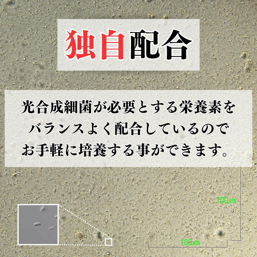 秀玄 光合成細菌 PSB 40L 培養セット スポイト 簡単手順書付き |  | 02