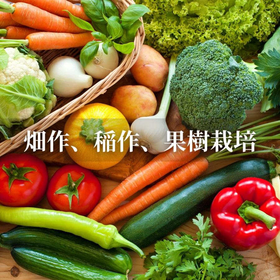秀玄 光合成細菌 PSB 40L 培養セット スポイト 簡単手順書付き |  | 06