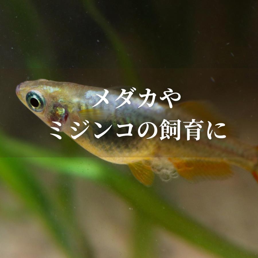 秀玄 光合成細菌 PSB 40L 培養セット スポイト 簡単手順書付き |  | 07