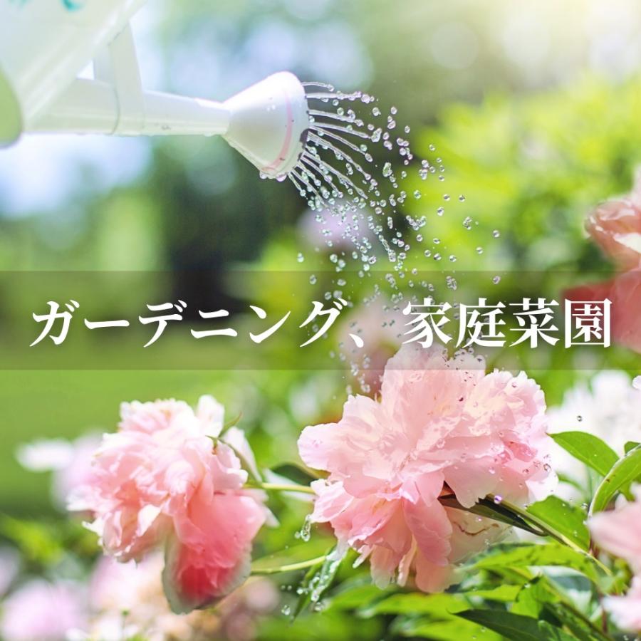 秀玄 光合成細菌 PSB 40L 培養セット スポイト 簡単手順書付き |  | 08