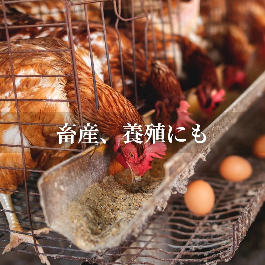 秀玄 光合成細菌 PSB 40L 培養セット スポイト 簡単手順書付き |  | 09