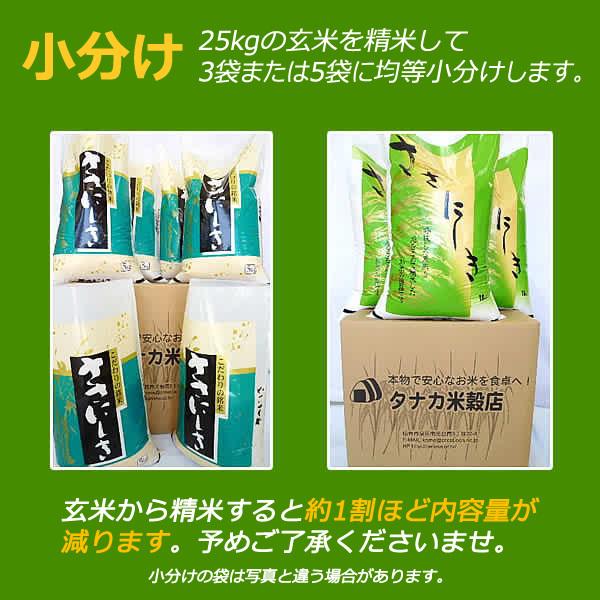 ササニシキ 宮城県産 令和6年産 ささにしき 玄米 25kg : ひで ササニシキ 宮城県産 令和6年産 ささにしき 玄米 25kg : ひで