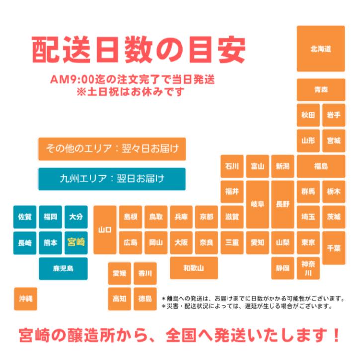 クラフトビール 栗黒 3本 ギフト 金賞 ビール 詰め合わせ 高級 プレゼント 栗 フルーツビール | 宮崎ひでじビール | 08