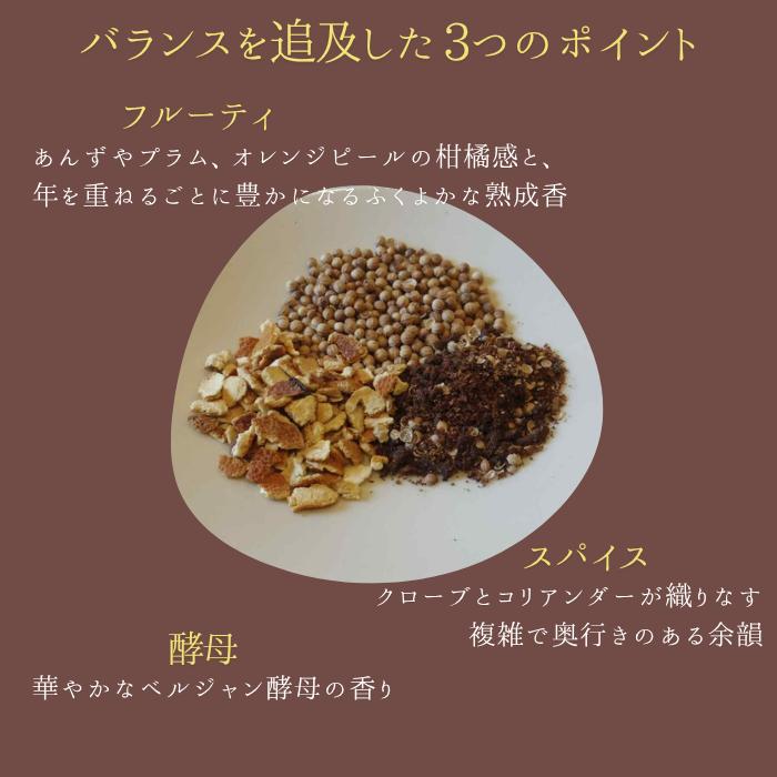 【ヤフショセット販売】クラフトビール 選べる12本 アソート 詰め合わせ 福袋 ギフト 地ビール 果物 フルーツビール | 宮崎ひでじビール | 12