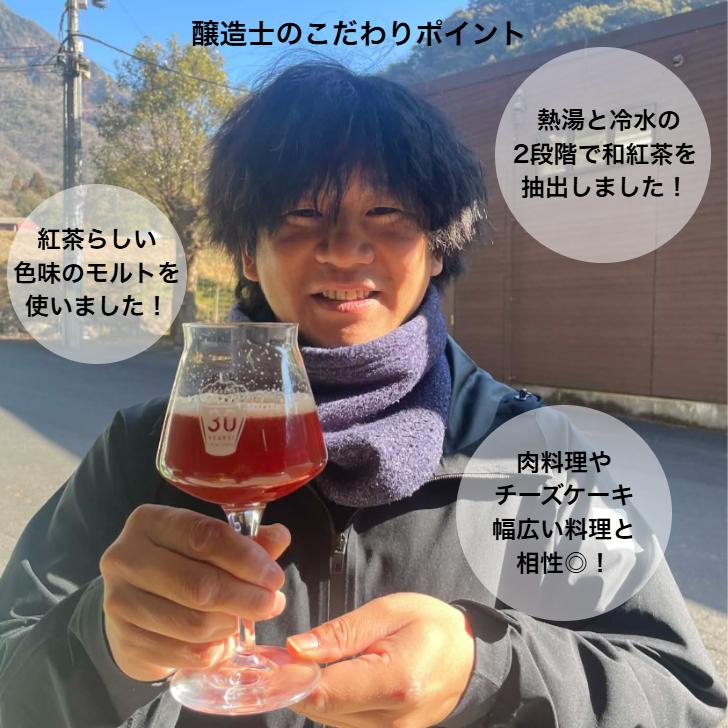 【ヤフショセット販売】クラフトビール 選べる12本 アソート 詰め合わせ 福袋 ギフト 地ビール 果物 フルーツビール | 宮崎ひでじビール | 06