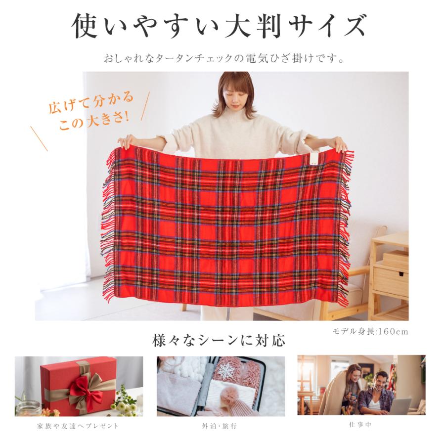 日本製 電気ひざ掛け 膝掛け 電気毛布 ブランケット 洗える 掛け敷き