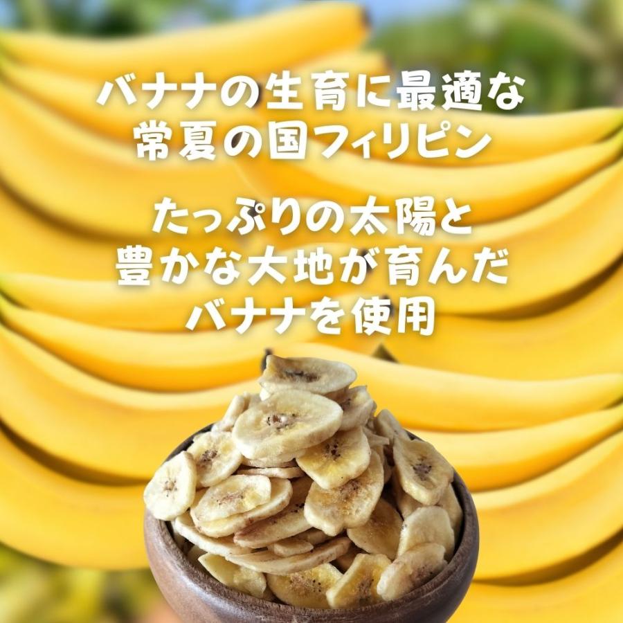 バナナチップス 700g ココナッツオイル フィリピン産バナナ ドライ