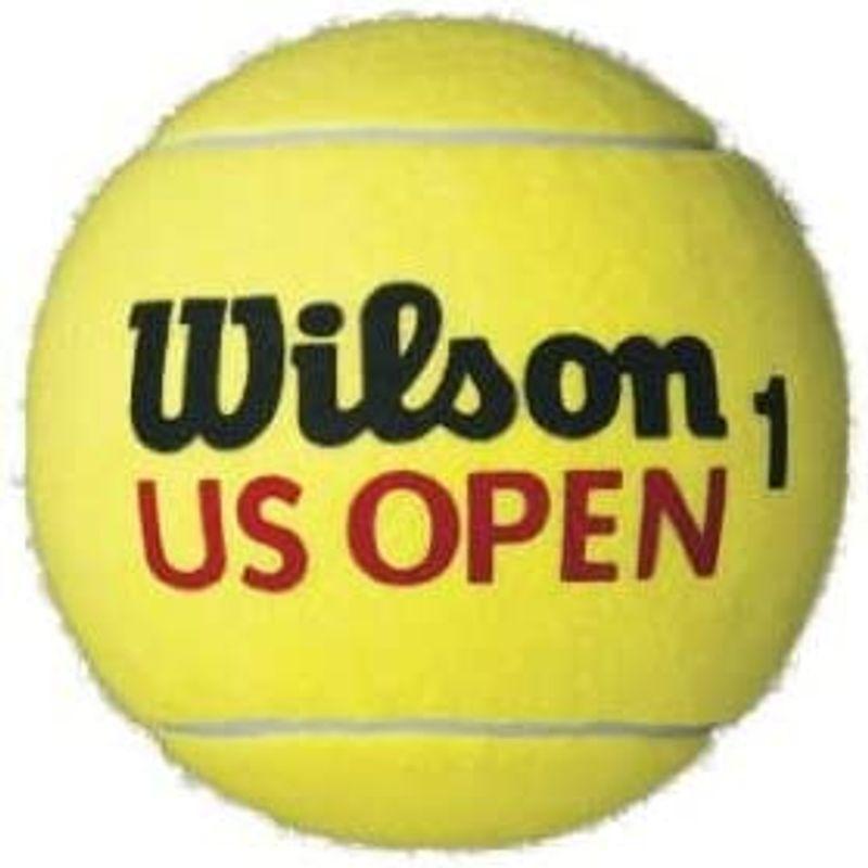 ウィルソンテニスボール 1個 送料無料 注目の福袋