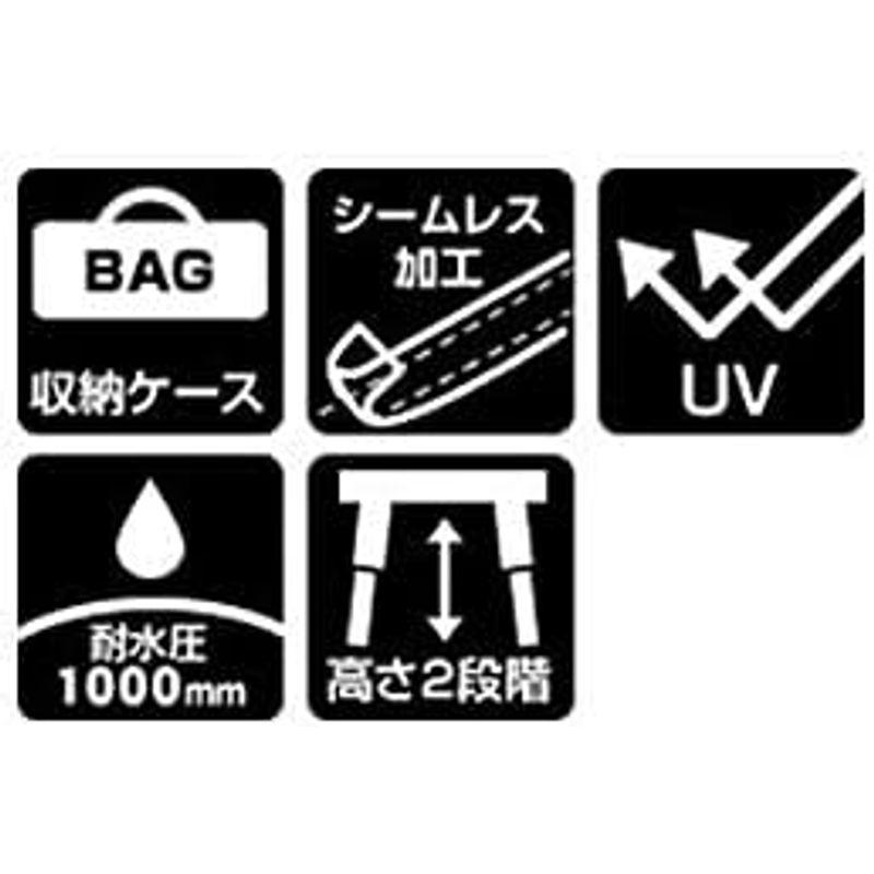 ウルトラ！ North Eagle(ノースイーグル) キャノピー ワンタッチキャノピー300? NE1238 【3737259300】(19003円)