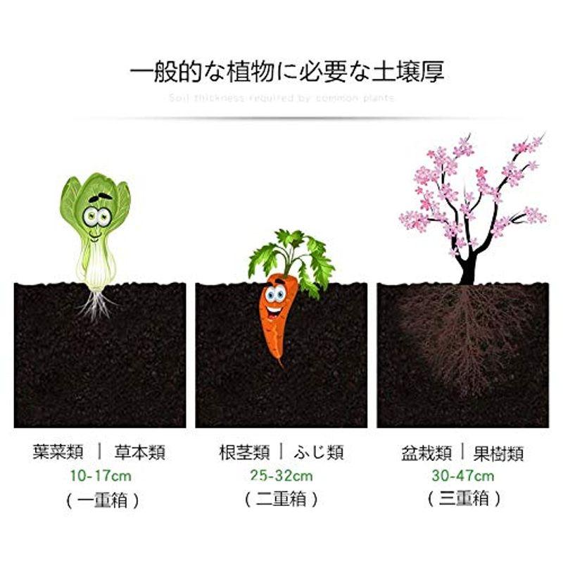 Aeon hum 組立式ガーデンボックス プランターボックス プラスチック 園芸 鉢植え入れ 花、植物、野菜栽培 自由組立 滑車付け ブラウ hum 組立式ガーデンボックス プランターボックス プラスチック 園芸 鉢植え入れ 花 植物 野菜栽培 自由組立 滑車付け