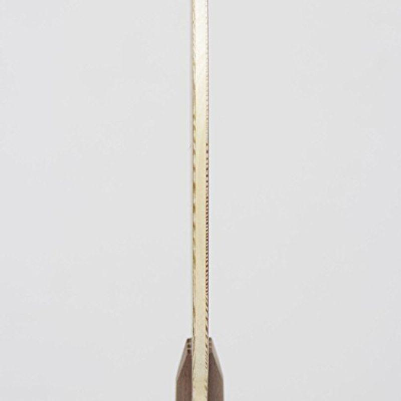 STIGA(スティガ) 卓球 ラケット インテンシティNCT 中国式ペングリップ シュ・シン選手使用 1022-65 ラケット スティガ 卓球 インテンシティNCT 中国式ペングリップ シュ シン選手使用