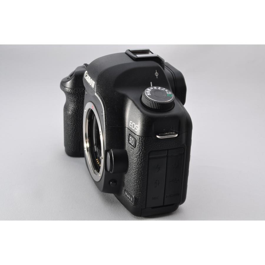 Canon キヤノン EOS 5D Mark II 超望遠トリプルレンズセット CFカード 