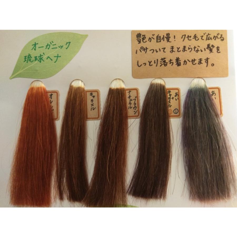 ラジャスタンヘナ ナチュラルブラウン100g×3袋