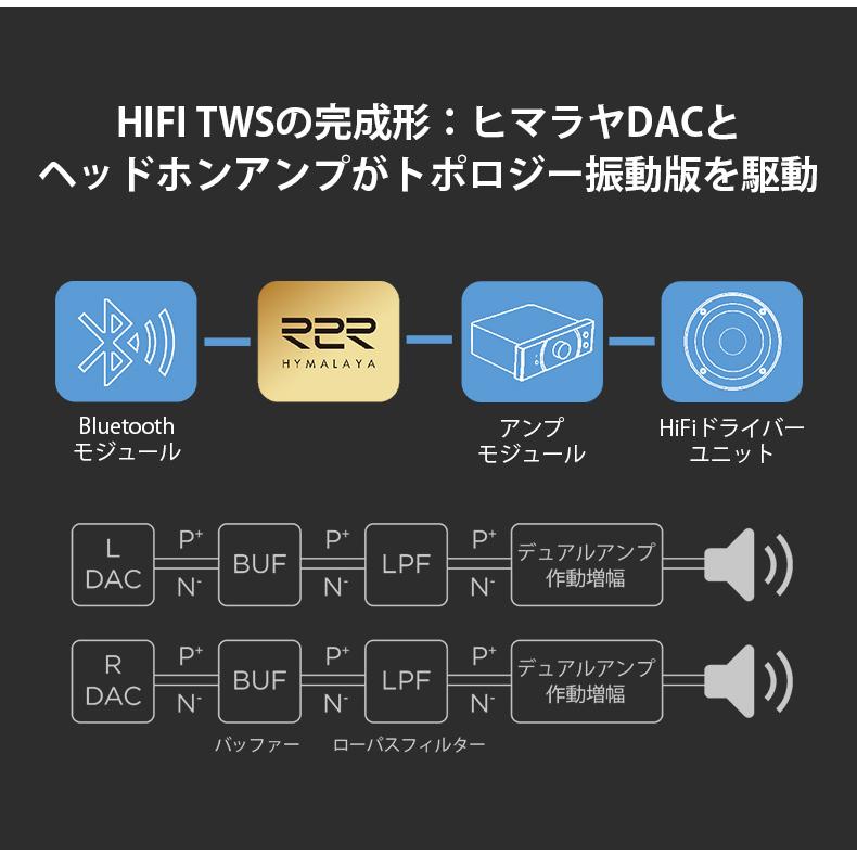 HIFIMAN ハイファイマン Svanar wireless 完全ワイヤレス HIFIMAN ハイファイマン Svanar wireless 完全ワイヤレス