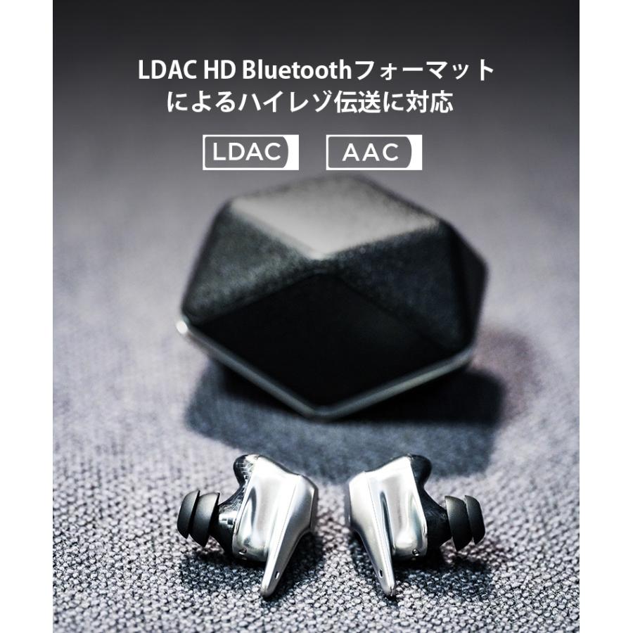 HIFIMAN ハイファイマン Svanar wireless 完全ワイヤレス HIFIMAN ハイファイマン Svanar wireless 完全ワイヤレス