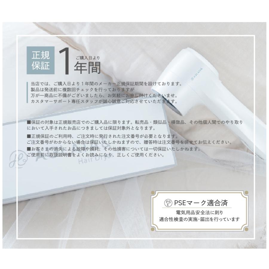 特典付＼5,000円クーポン／ 海外対応 ドライヤー 速乾 大風量