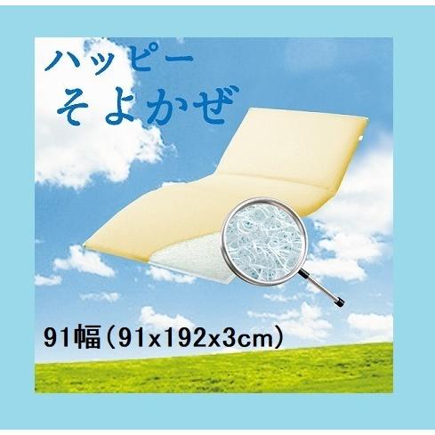 高級品市場 91幅 91x192x3cm ハッピーそよかぜ 床ずれ防止マット ハッピーおがわからの直送販売です メーカー 介護 日本製 制菌性 通気性 快眠 クッション マット ヘルスケア 介護用品