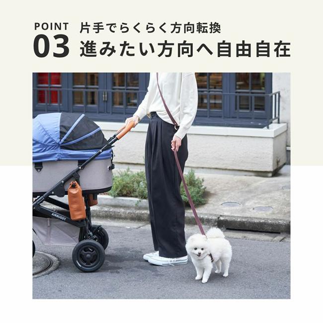 AIRBUGGY（エアバギー） DOME3 REGULAR ドーム3レギュラー Earth Black