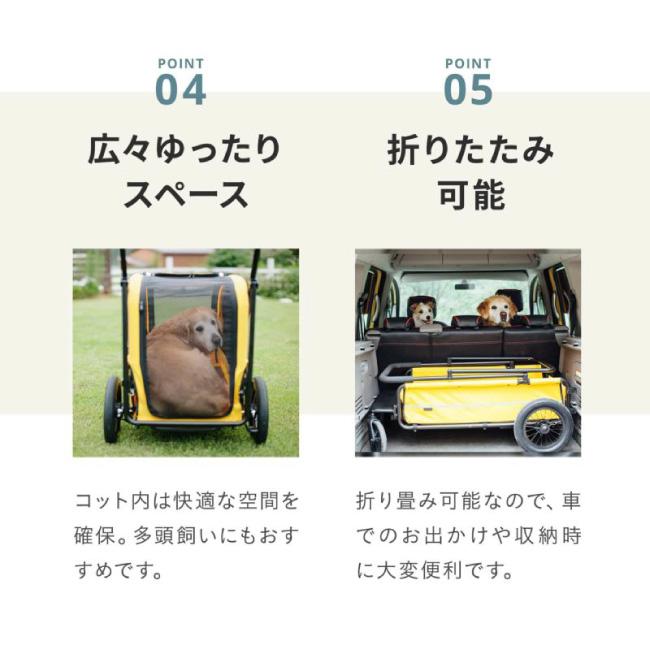 AIRBUGGY（エアバギー） キャリッジ 2点セット [台車・ルーフ] AD3057