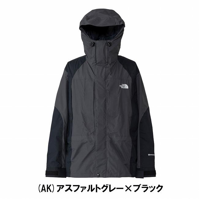 THE NORTH FACE（ザ ノースフェイス） 2000 Retro Mountain Light
