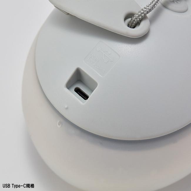 snow peak（スノーピーク） RBほおずき あさもや ES-170-IV 【 LED