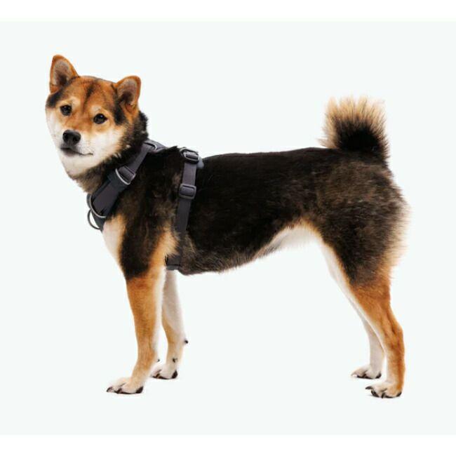 RUFFWEAR ラフウェア フロントレンジハーネス XXS 30503 【 犬 胴輪 着脱簡単 クッション性 反射素材 アウトドア 散歩 国内正規品 】【メール便・代引不可】_5